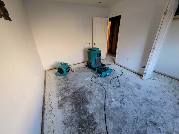 Best Water damage cleanup near me  in Desert Palms, CA