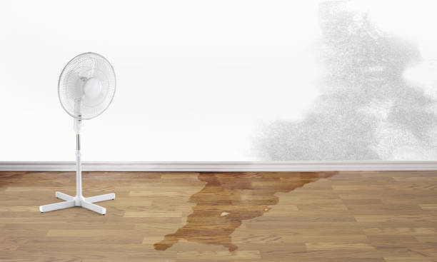 Trusted Desert Palms, CA Water damage restoration Experts
