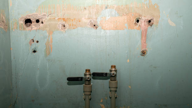 Best Water damage restoration near me  in Desert Palms, CA